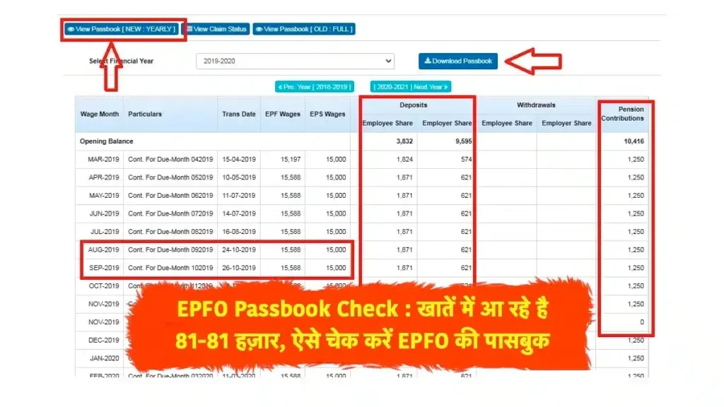 EPFO Passbook Check