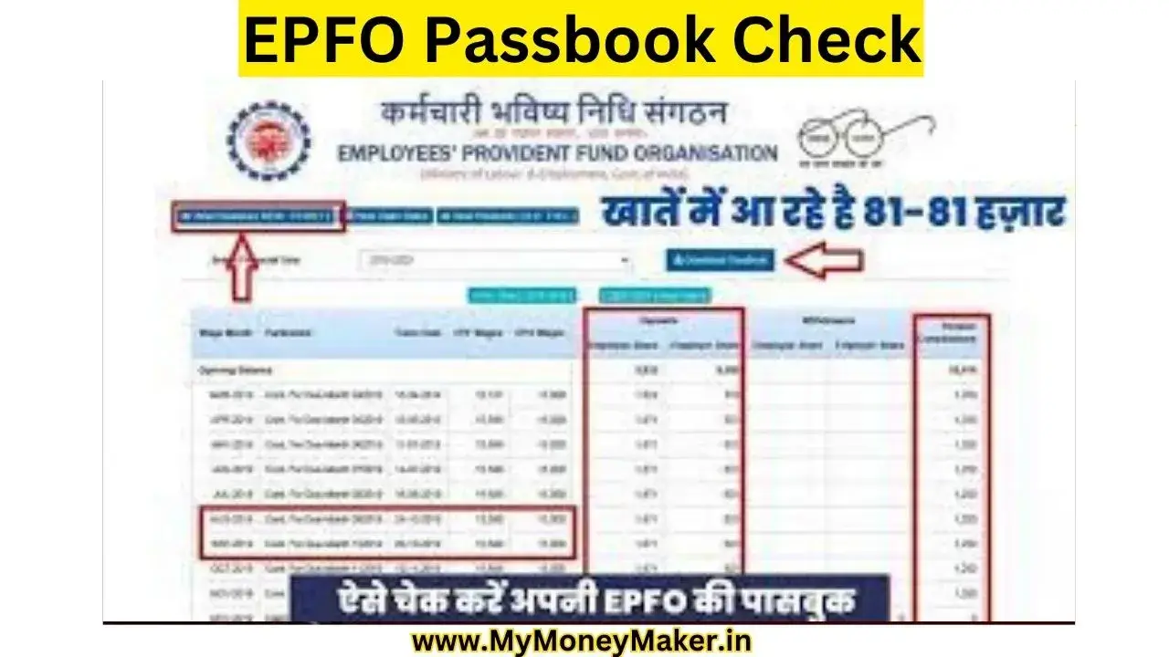 EPFO Passbook Check